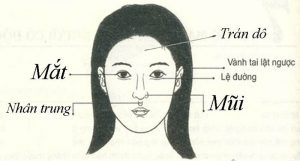 7-tuong-mat-dan-ba-ngoai-tinh