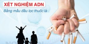 xn bang dau loc thuoc la